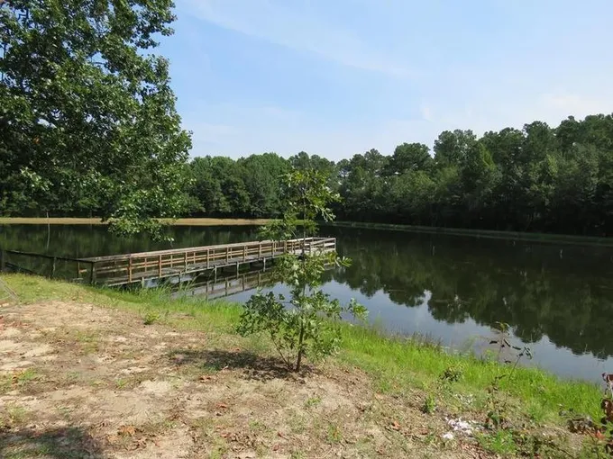 Neeses, Orangeburg County, SC Undeveloped Land for sale Property ID: 417468818