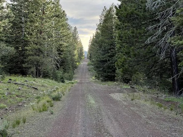 California Land for Sale, 0.92 Acres, near Alturas