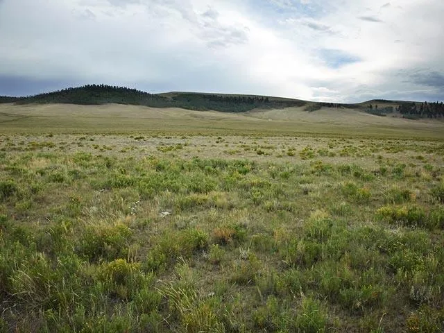 Colorado Land for Sale, 4.33 Acres, Pastoral Setting