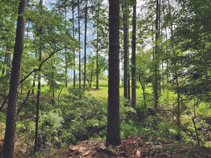 Greensboro, Golf Course Lot,69 Acres , Cul-de-Sac for Sale