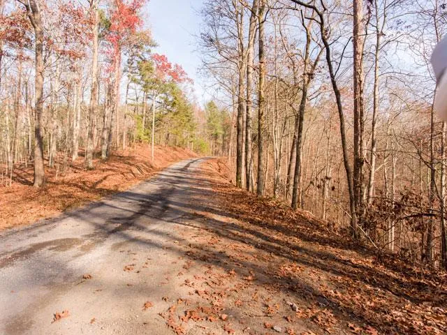 Georgia Land for Sale 1.5 Acres - Exclusive Community