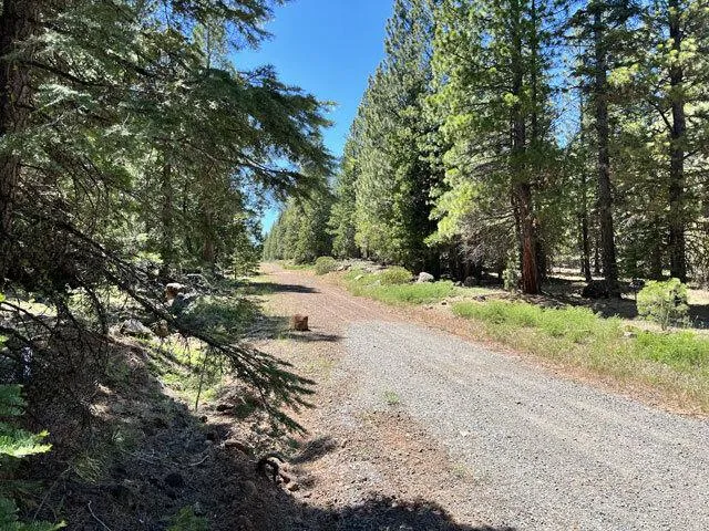 N. California Land for Sale, 0.9 acres, near Alturas