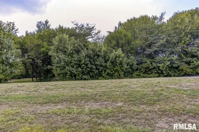 401 RAMBLEWOOD DR, Chatham, IL 62629 Land For Sale  MLS# CA1006796