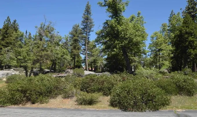 Shaver Lake, Fresno County, CA Undeveloped Land, Homesites for sale Property ID: 410507617