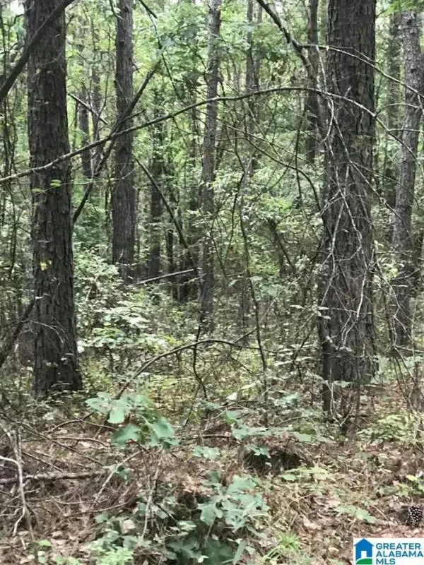 0 HIGHWAY 191 # 39, ALPINE, AL 35014 Land For Sale  MLS# 21374532