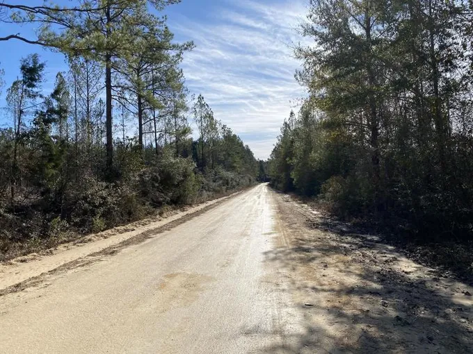 Baker, Okaloosa County, FL Undeveloped Land for sale Property ID: 418685137