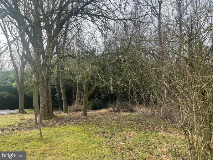 158 LEARY ROAD, COATESVILLE, PA 19320 Land For Sale  MLS# PACT2059754