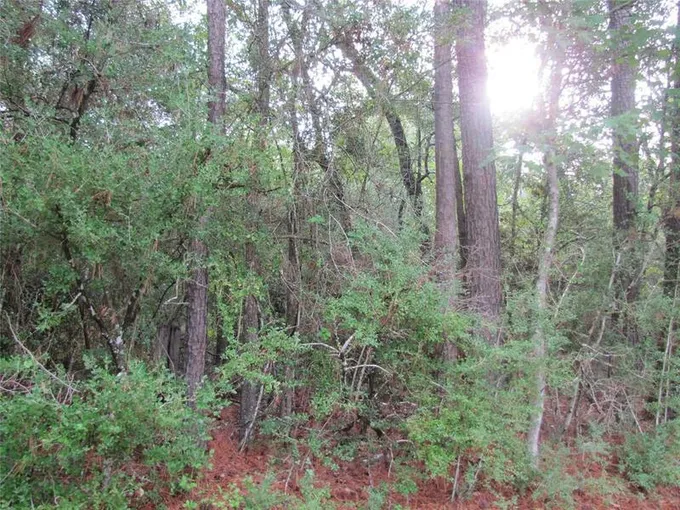 000 Decker Woods, Magnolia, TX 77354 for Sale