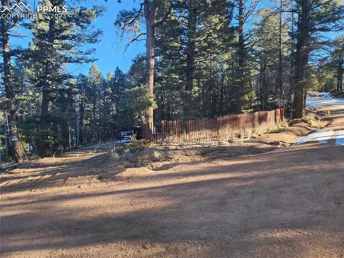 1180 Pinewood Road, Florissant, CO 80816 for Sale