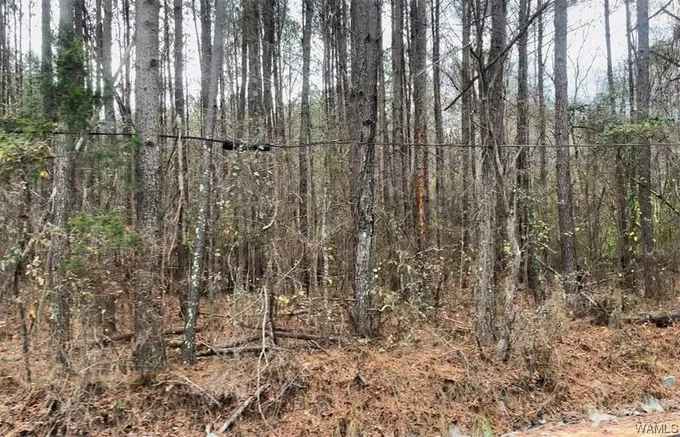 0 DRY CREEK ROAD, Fosters, AL 35463 Land For Sale  MLS# 160365