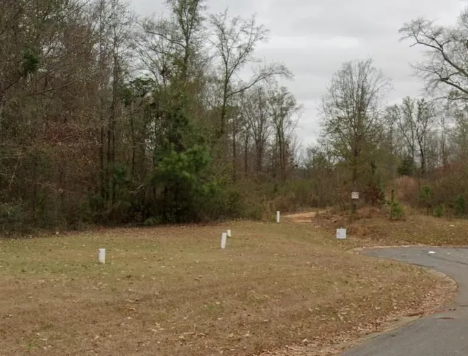 Tuscaloosa, Tuscaloosa County, AL Undeveloped Land, Homesites for auction Property ID: 418660893 for Sale