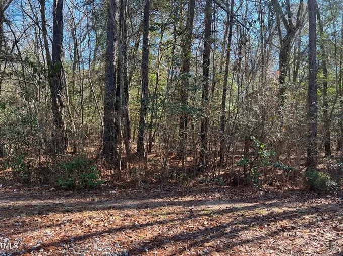 935 Hudsonia Dr, Vass, NC 28394 - MLS 10005593 for Sale