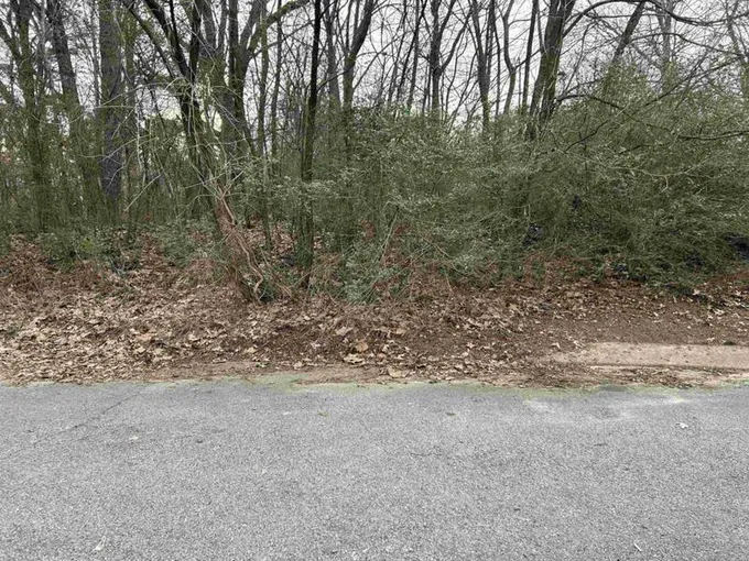 115 GREENVALLEY DR, Jackson, TN 38305 Land For Sale  MLS# 240546