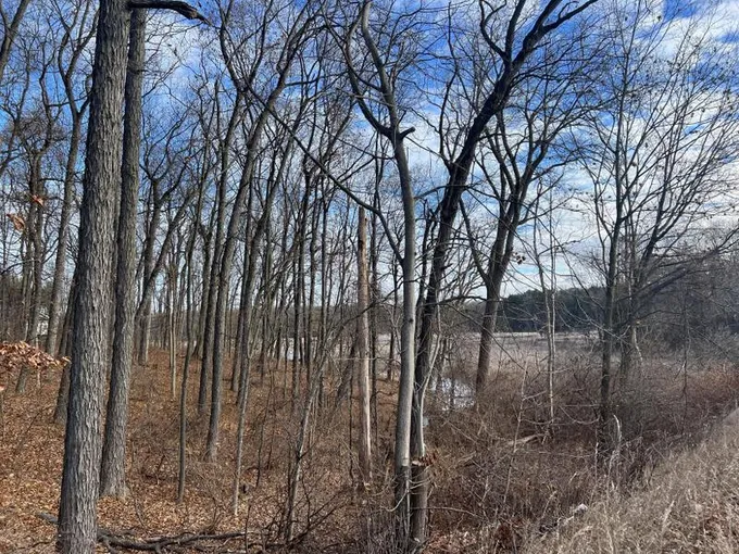 Richland, Kalamazoo County, MI Homesites for sale Property ID: 418496237