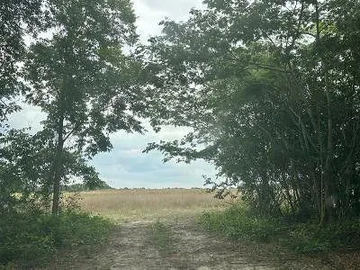 Ashford, Houston County, AL for sale Property ID: 418065843
