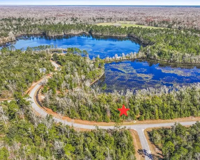 Wewahitchka, Gulf County, FL Undeveloped Land, Lakefront Property, Waterfront Property, Homesites for sale Property ID: