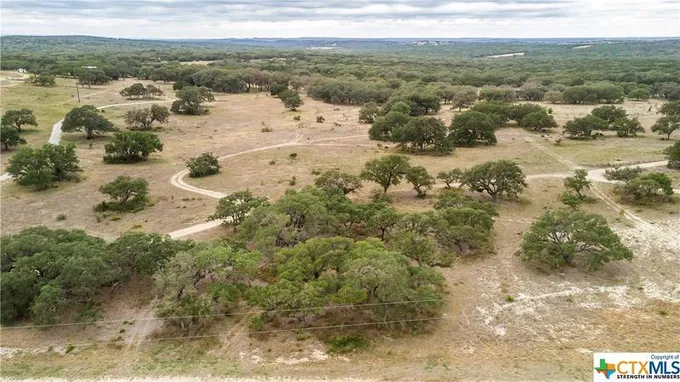181 BLACKBUCK RIDGE DR, Lampasas, TX 76550 Single Family Residence For Sale  MLS# 523757