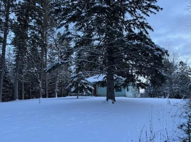 17053 Scenic Hwy NE, Blackduck, MN 56630 - MLS 6478589 for Sale