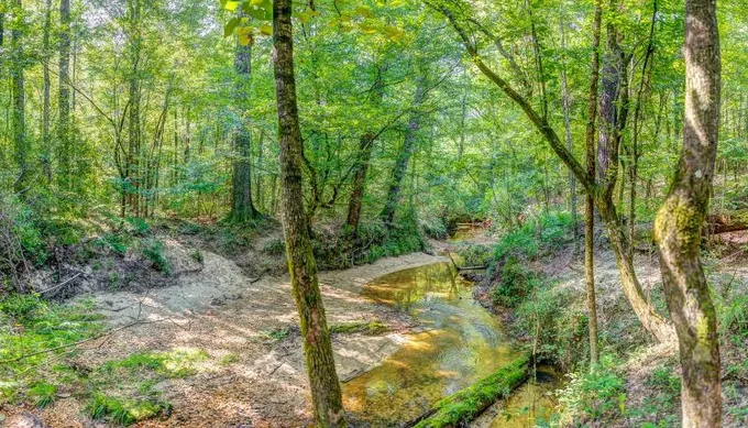 Hybart, Monroe County, AL Recreational Property, Timberland Property, Hunting Property for sale Property ID: 417679693