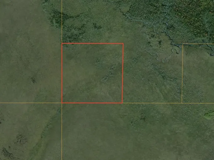 Pine Stump Junction, Luce County, MI Recreational Property, Undeveloped Land, Hunting Property for sale Property ID: 418651282