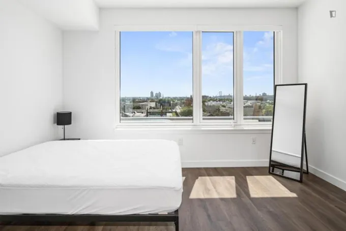 Cute Double Bedroom at 3-bedroom apartment in Broadridge for Rent