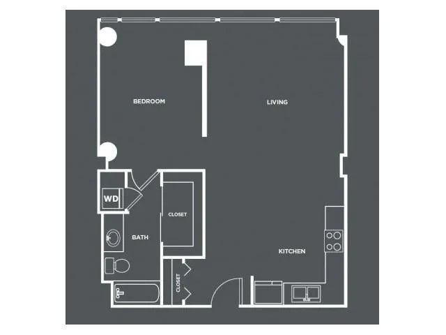 1 Bedroom 1 Bath In Chicago IL 60605 for Rent