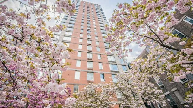 1 bedroom in Manhattan NY 10019 for Rent
