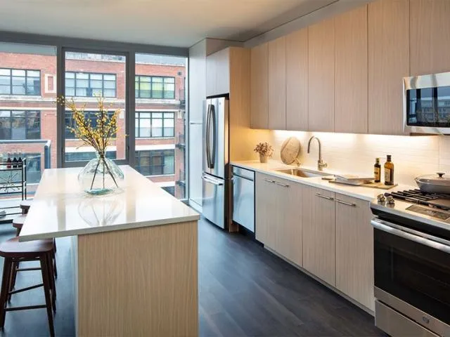2 bedroom in Chicago IL 60607 for Rent