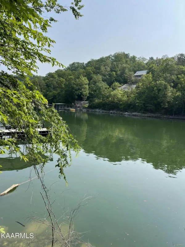 LOT 121 A2 PERRY SMITH LANE, Caryville, TN 37714 Land For Sale  MLS# 1228184 for Rent