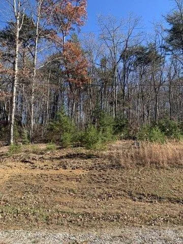 In Spencer TN 38585 for Rent