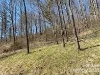In Marshall NC 28753 for Rent