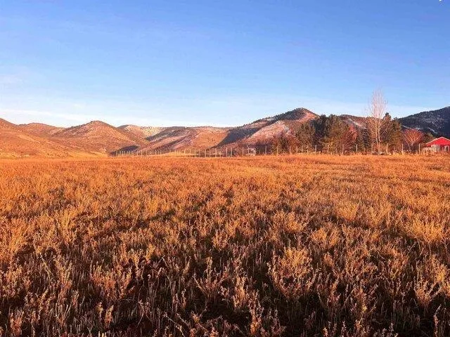 In Preston ID 83263 for Rent