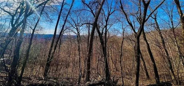 In Holiday Island AR 72631 for Rent