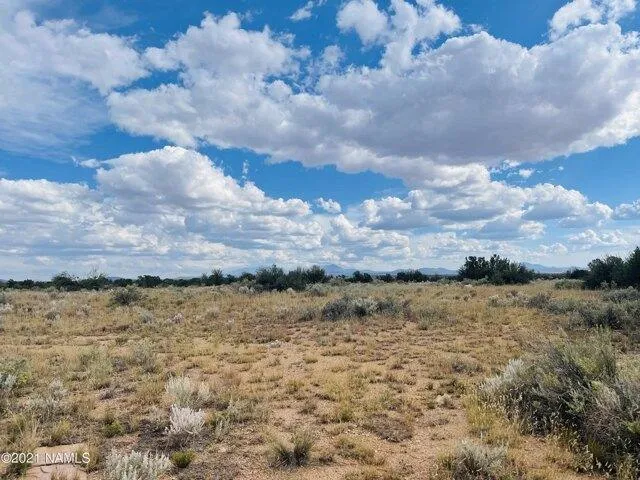 In Williams AZ 86046 for Rent