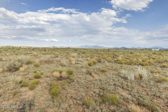 In Williams AZ 86046 for Rent