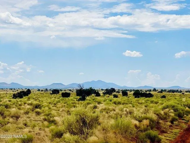 In Williams AZ 86046 for Rent