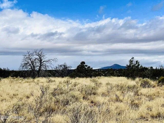 In Williams AZ 86046 for Rent