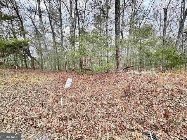 In Ellijay GA 30540 for Rent
