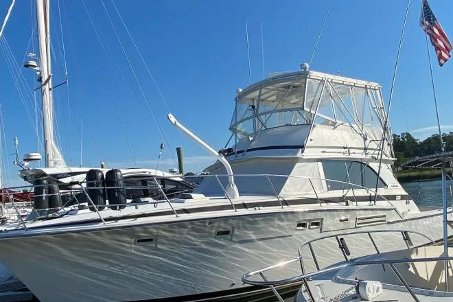 1981 Bertram Convertible Sport Fish for Sale