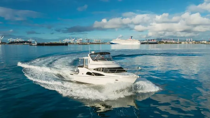 2005 Carver 41 birdpit Motor Yacht Boat for Sale