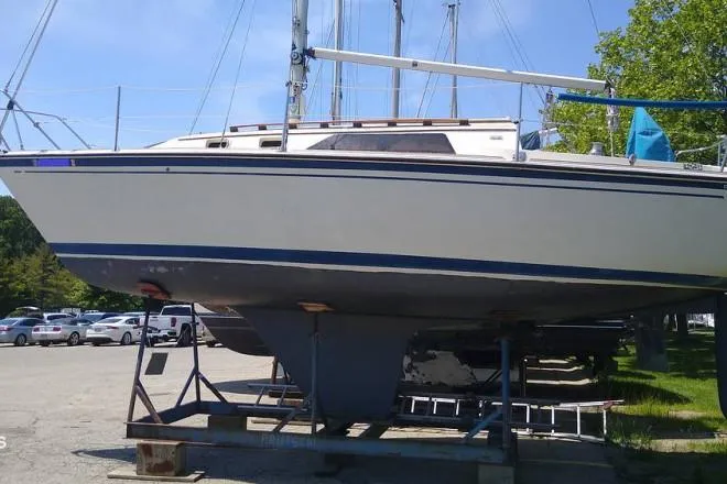 1984 O Day 28 for Sale