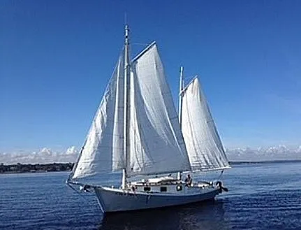 2008 Custom Classic Windward 28 for Sale