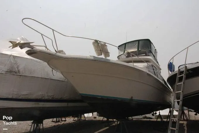 1988 Sea Ray 345 Sedan Bridge for Sale