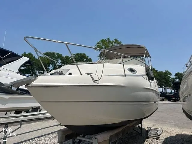 2008 Stingray 250 CS for Sale