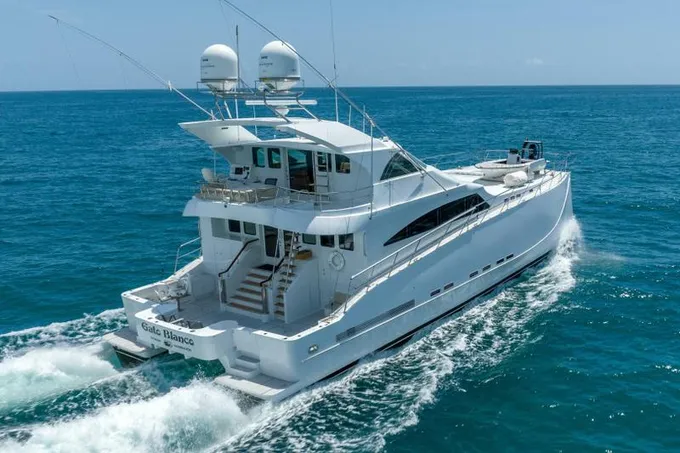2011 Pedigree Cat Power Cat for Sale