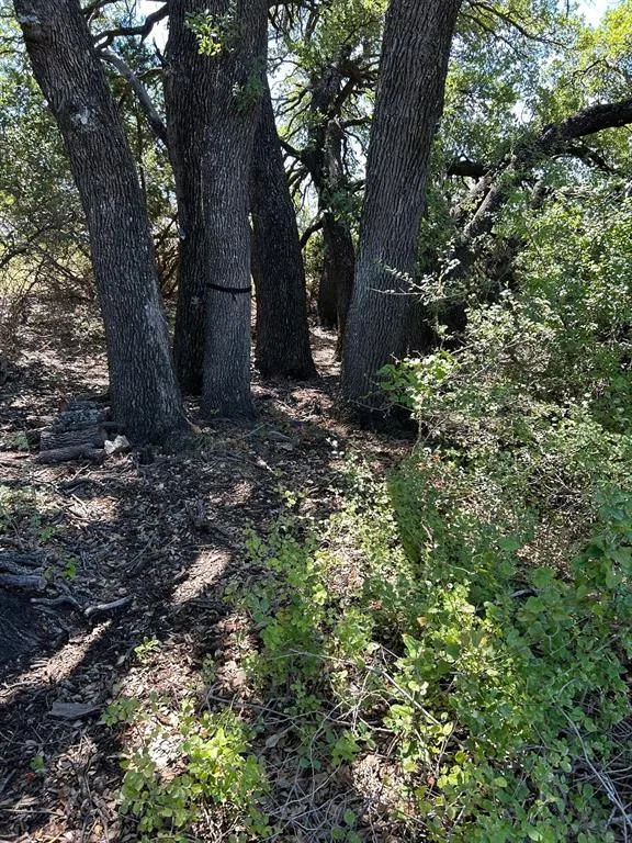 Tract 19 - CR 493, Desdemona, TX 76455 for Sale