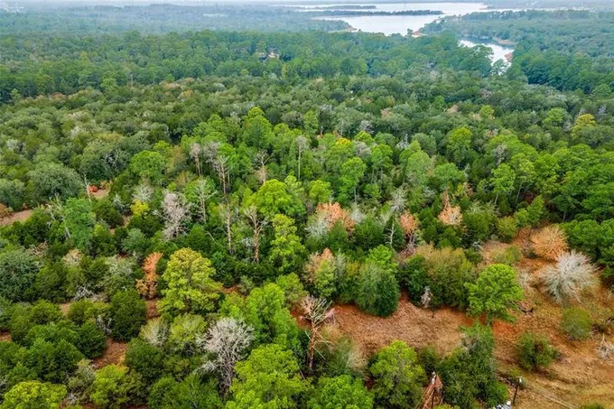 000 Oleander Dr, Bastrop, TX 78602 for Sale