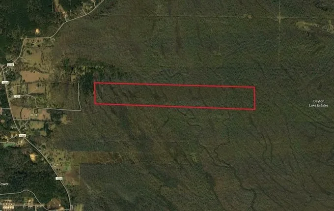 780 County Road 2329, Dayton, TX 77535 for Sale