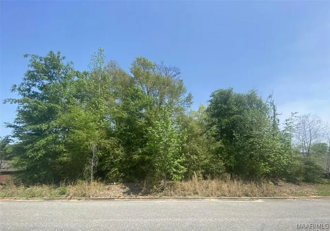 118 RIVERWOOD DR, Enterprise, AL 36330 Single Family Residence For Sale  MLS# 549286