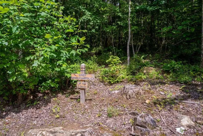 5000 Raulston Falls Dr, Jasper, TN 37347  625098258 for Sale